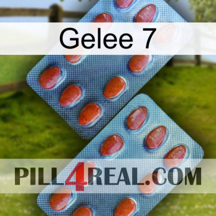 Jelly 7 05